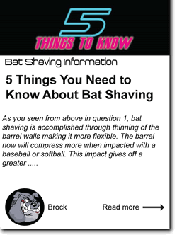5_things_you_need_to_know_about_bat_shaving.png